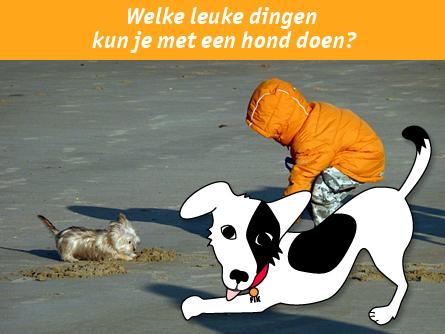 Welke leuke dingen kun je met een hond doen?